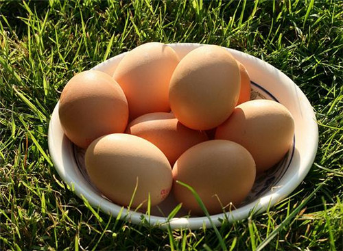 人造鸡蛋怎么鉴别 几招轻松买到真鸡蛋