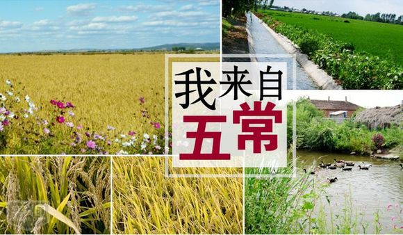 防伪标签