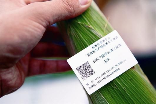 防伪