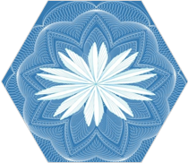 防伪团花技术