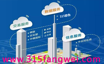315产品防窜系统解决方案